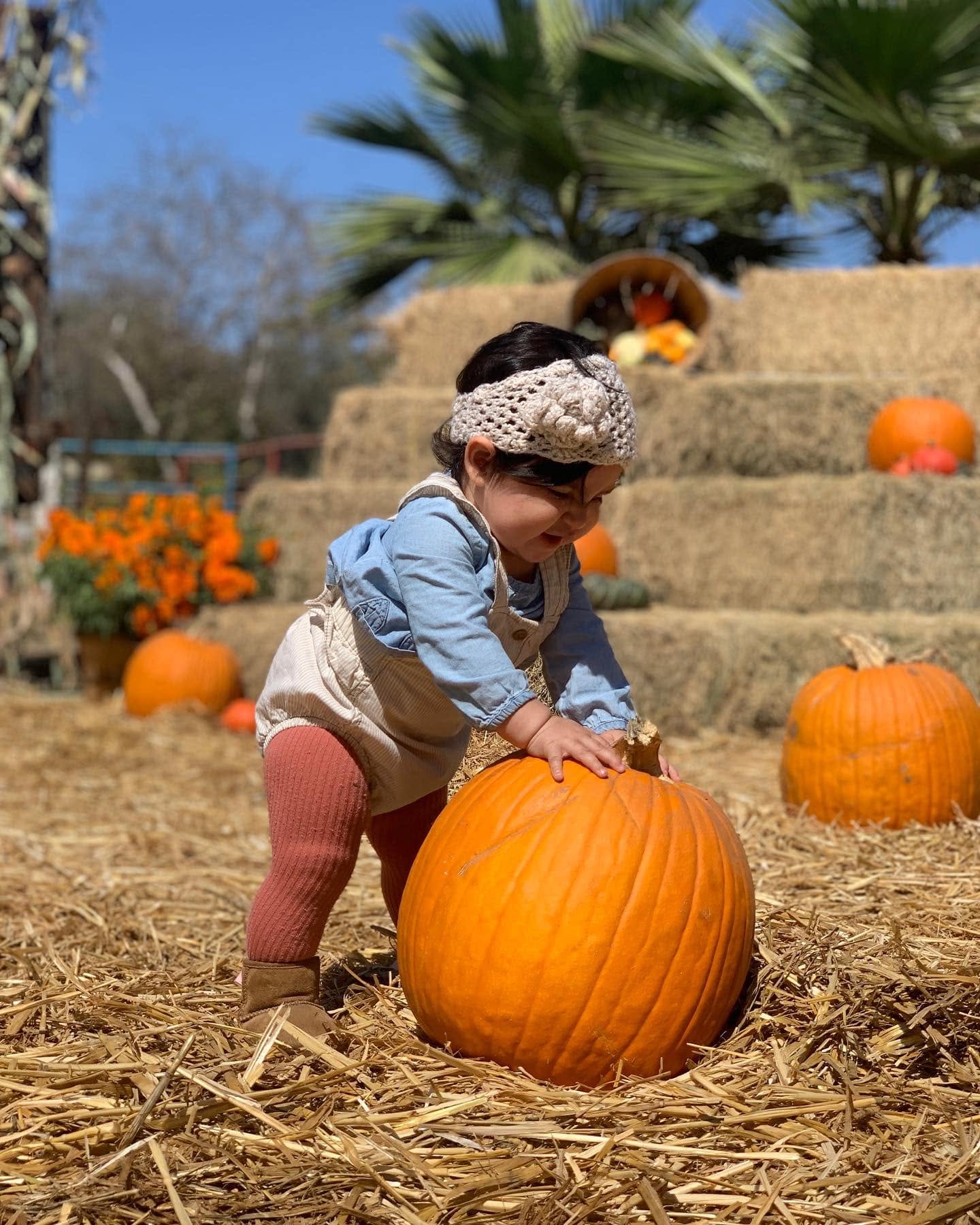 Otoño · Pumpkin Patch
